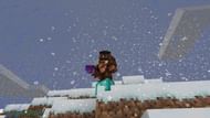 I believe I can fly! (Image via Minecraft)